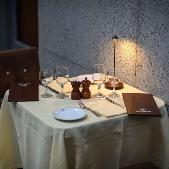 Wireless Spikelight - Waterproof & Dimmable Cordless Lighting